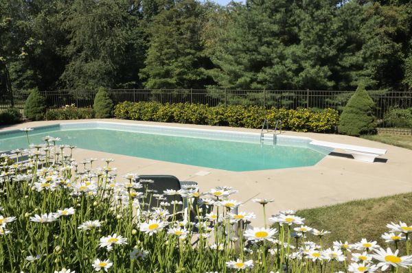 Cost of Pool Deck Leveling in Palm Harbor