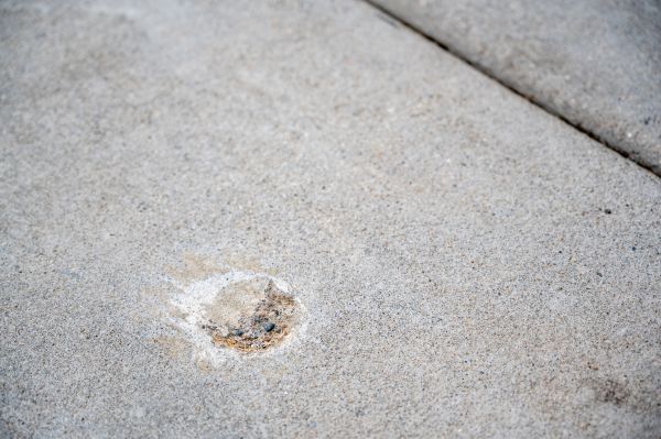 Cost of Settled Concrete Repair in Palm Harbor