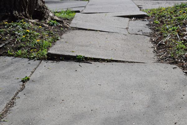 Cost of Uneven Sidewalk Repair in Palm Harbor