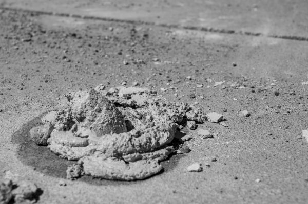 Cost of Concrete Slabjacking in Palm Harbor