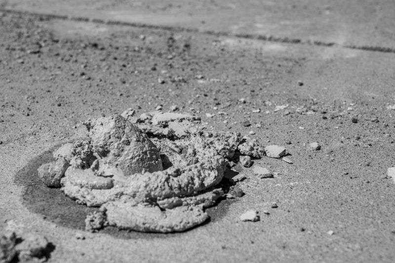 Recommendations from Local Suppliers